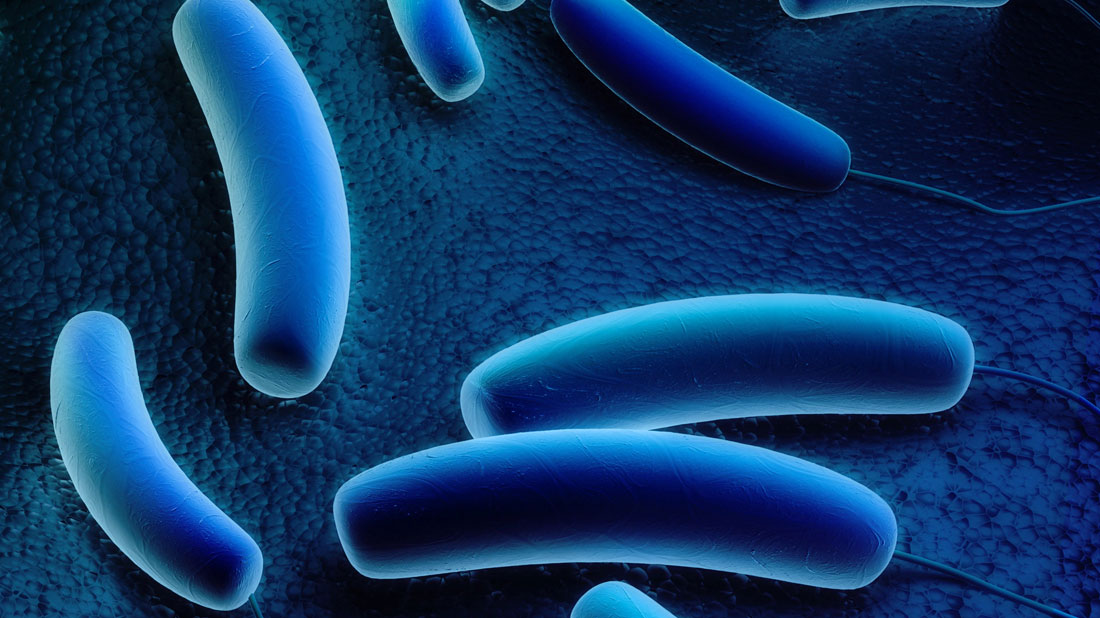 Legionella, come difendersi | Enki Water srl