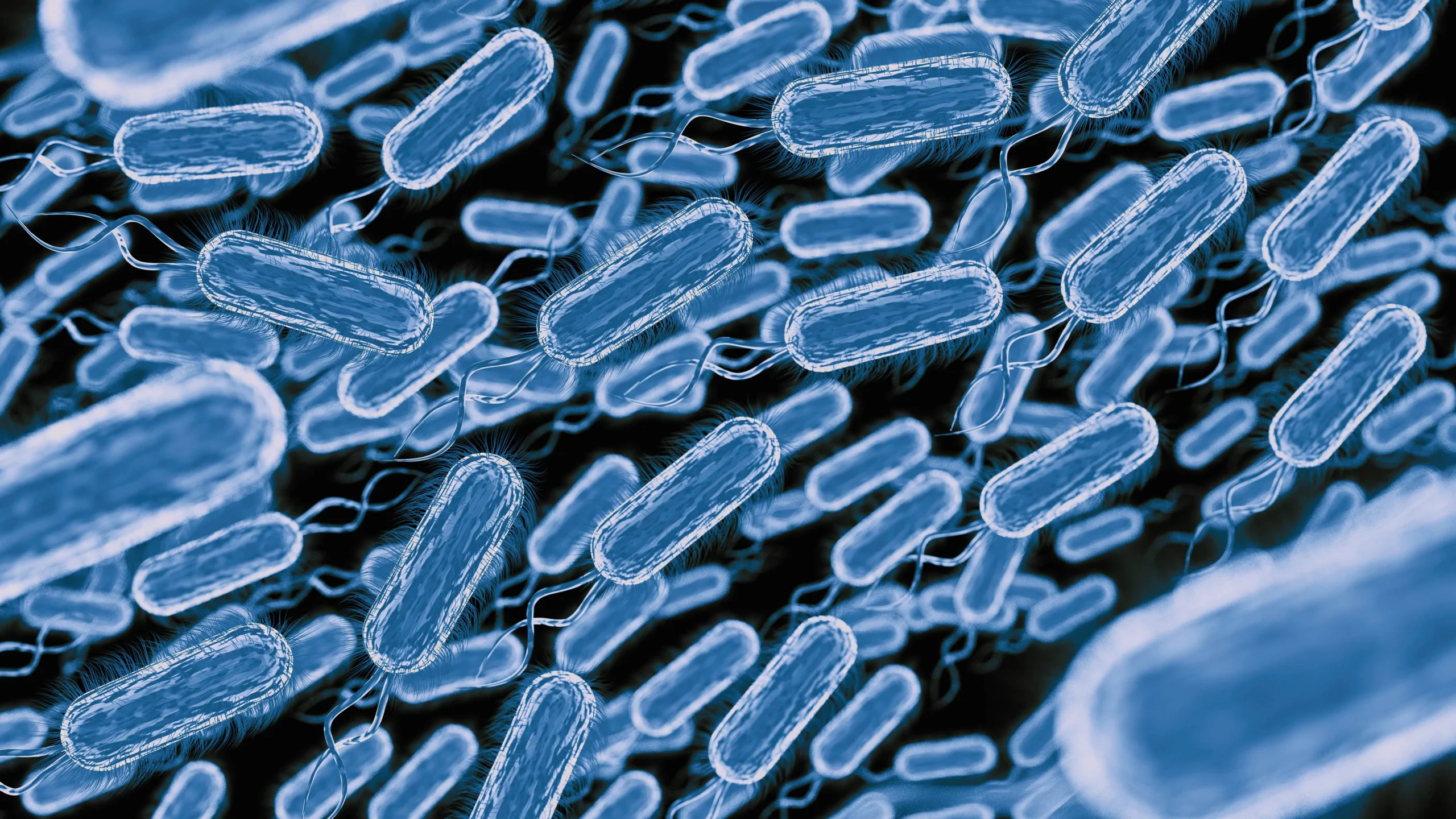 Legionella 3d