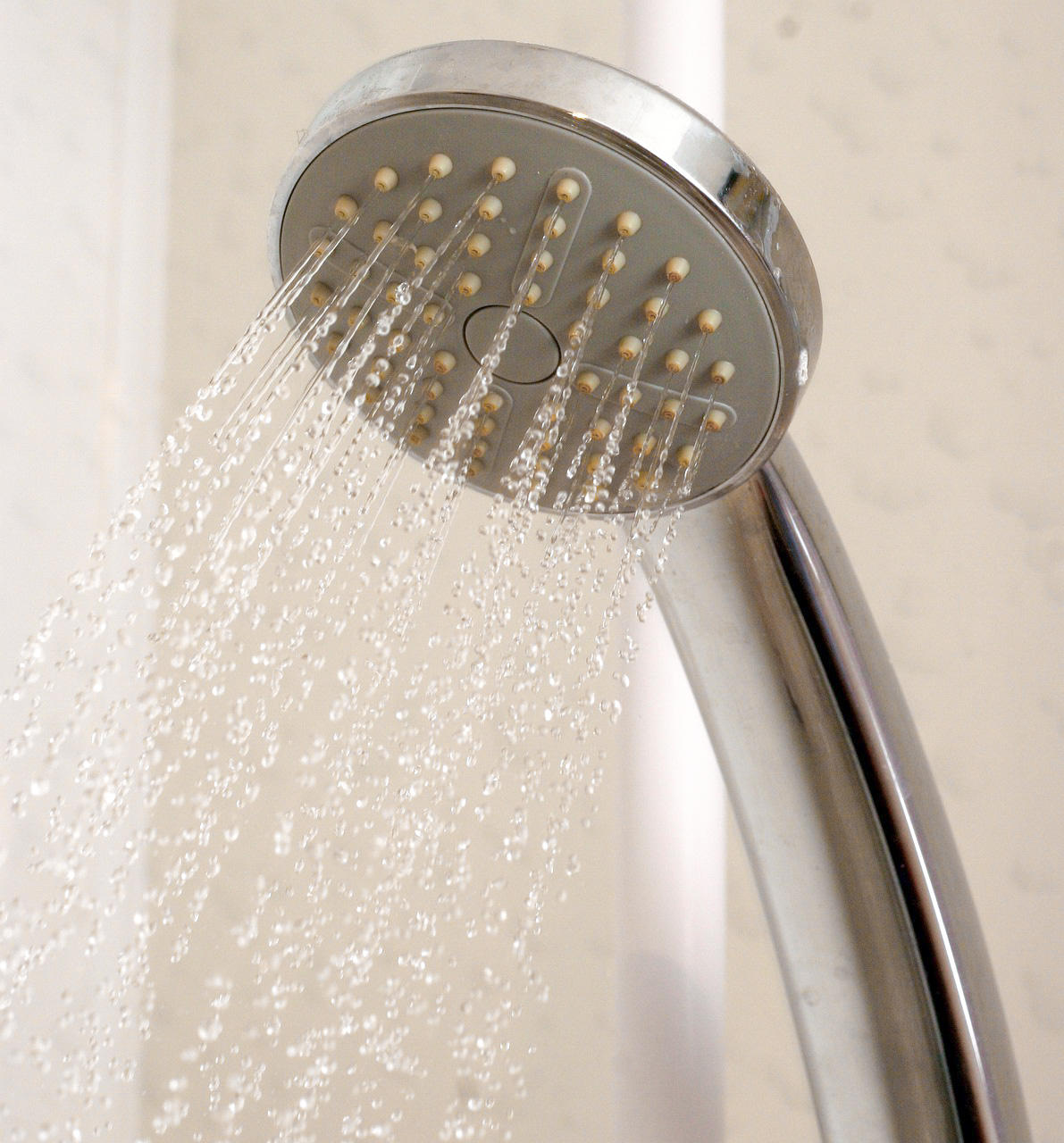 Doccia, Legionella La doccia, uno dei luoghi in cui si può venire a contatto con la Legionella